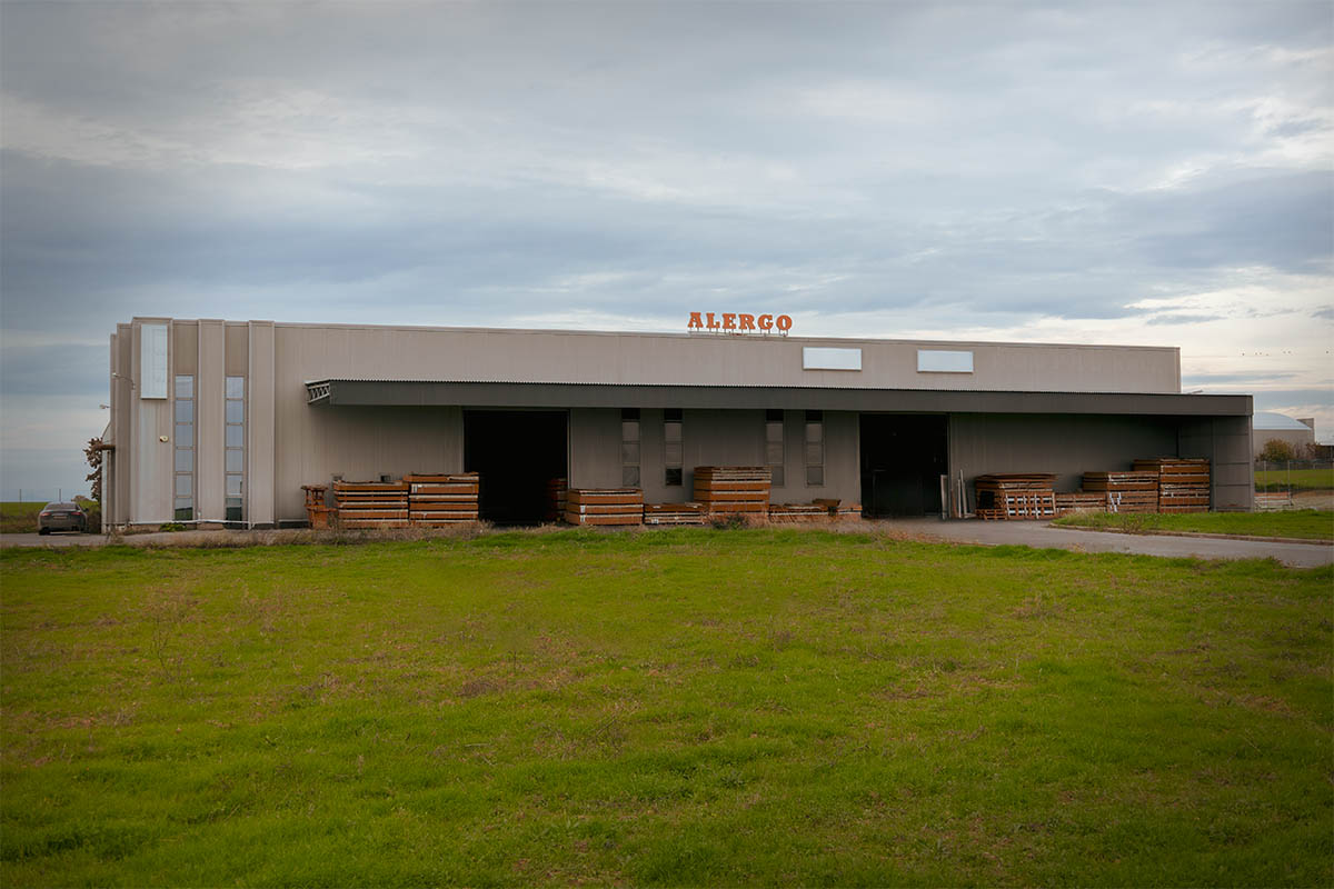 02.Alergo 2025 Photoshoot