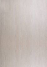 8059 P22 VANGUARD BIANCO VALIANT