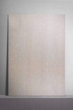 8059 P22 VANGUARD BIANCO VALIANT - Image 3